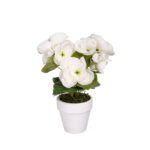 MACETA BEGONIA NUEVA *BLANCO