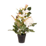 ROSAL 40CM