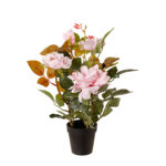 ROSAL 40CM