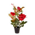 ROSAL 40CM