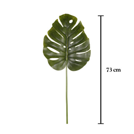 VARA MONSTERIA 73CM