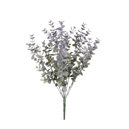 R.EUCALIPTO *FUXIA