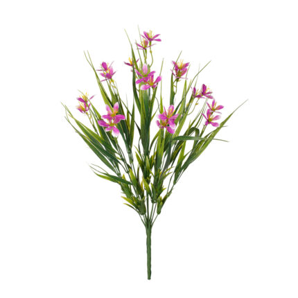 R.LILIUM MINI *FUXIA