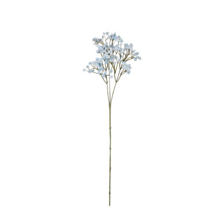VARA PANICULATA *AZUL