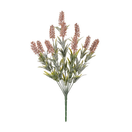 R.SORGHUM *FUXIA
