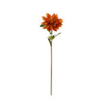 ZINNIA GRANDE *ORO