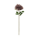 ZINNIA GRANDE *GRIS