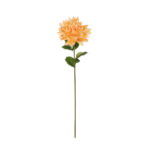 ZINNIA GRANDE