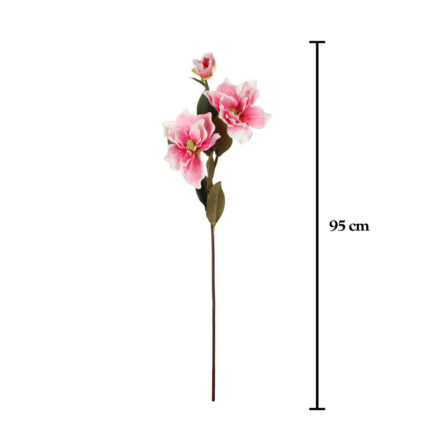 V.MAGNOLIA BUENA