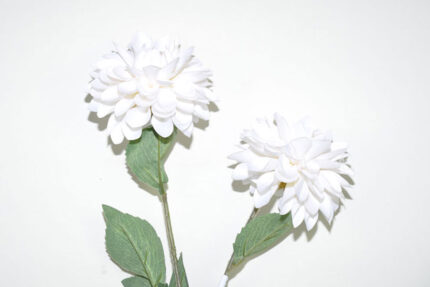 DALIA BOLA X2 *BLANCO