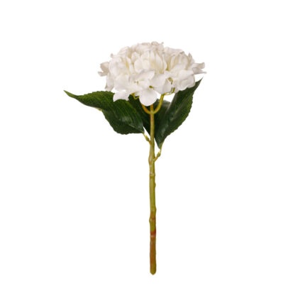 V.HORTENSIA TALLO CORTO *BLANCO