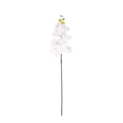 VARA ORQUIDEA *FUXIA