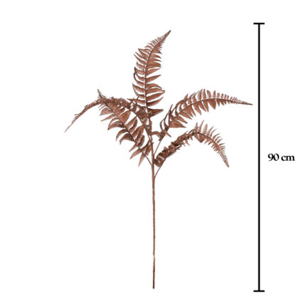 VARA FILICOPSIDA