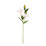 VARA LILIUM PRIMAVERAL