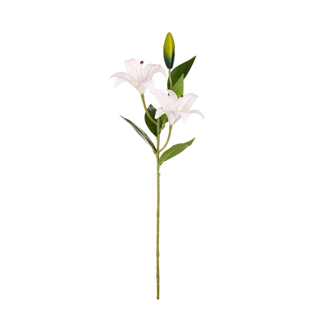 99096075-0.jpg VARA LILIUM PRIMAVERAL