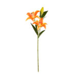 VARA LILIUM PRIMAVERAL