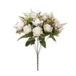 R. MAGNOLIA/ROSA