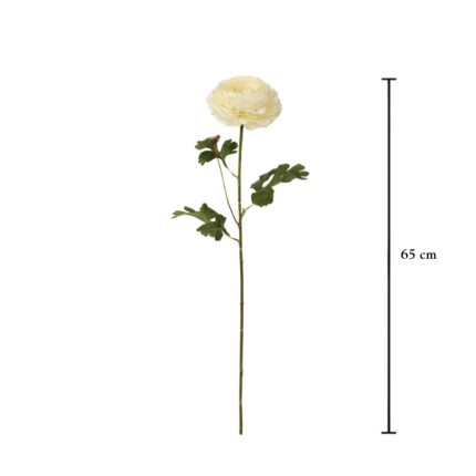 VARA PEONIA