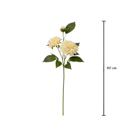 VARA ZINNIA X3