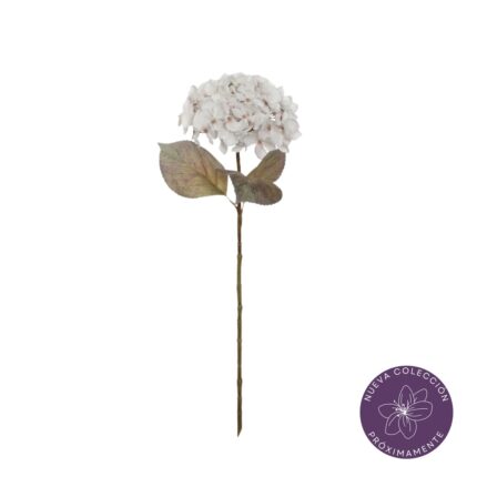 VARA HORTENSIA OTOÑAL