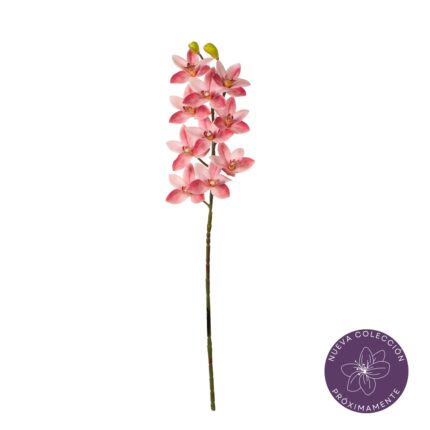 VARA ORQUIDEA CYMBIDIUM REAL TOUCH