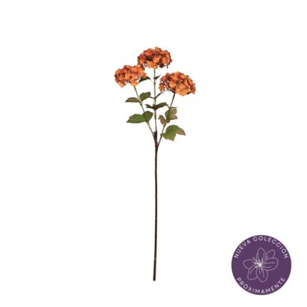 VARA ALLIUM X3 *NARANJA