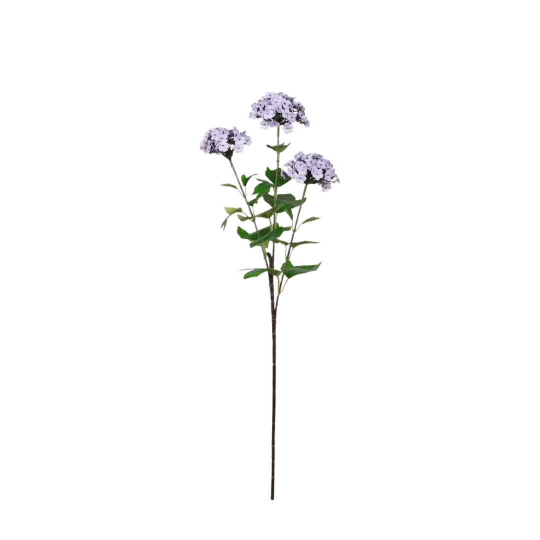 99096481-7.jpg VARA ALLIUM X3 *LILA