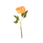 CAMELIA X1*FUXIA