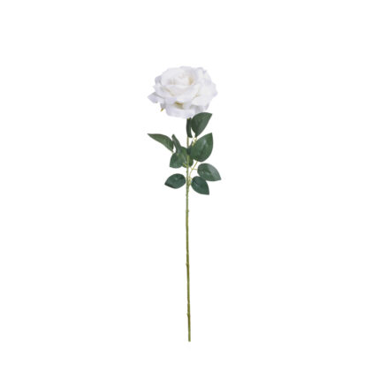 ROSA X1 *FUXIA