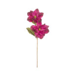 MAGNOLIA X2 SATEN