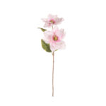MAGNOLIA X2 SATEN