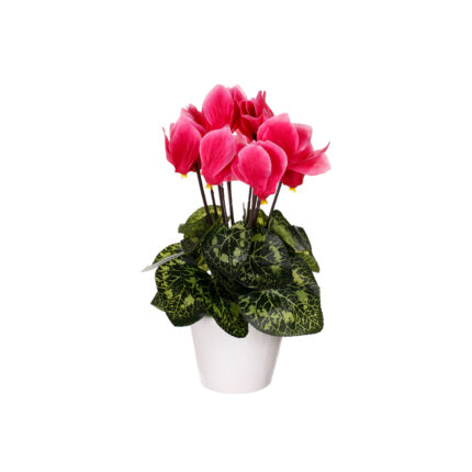 MACETITA CICLAMEN (99030006) *FUXIA