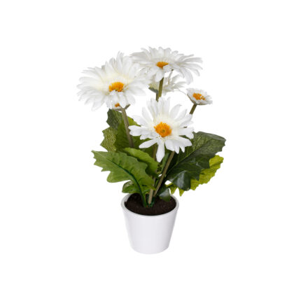 MACETITA GERBERA (99030003) *BLANCO