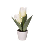 MACETITA TULIPAN X2 (27002) *BLANCO