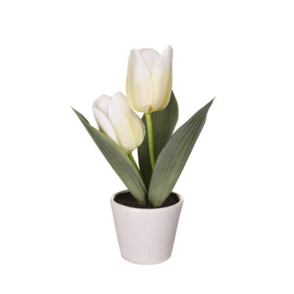 MACETITA TULIPAN X2 (27002) *BLANCO