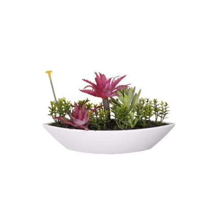MACETA CACTUS BARCO PQÑ *FUXIA
