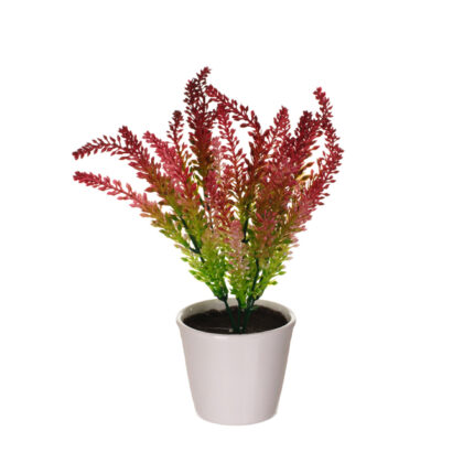 MACETITA BREZO 36CM (Y0762) *BURDEOS