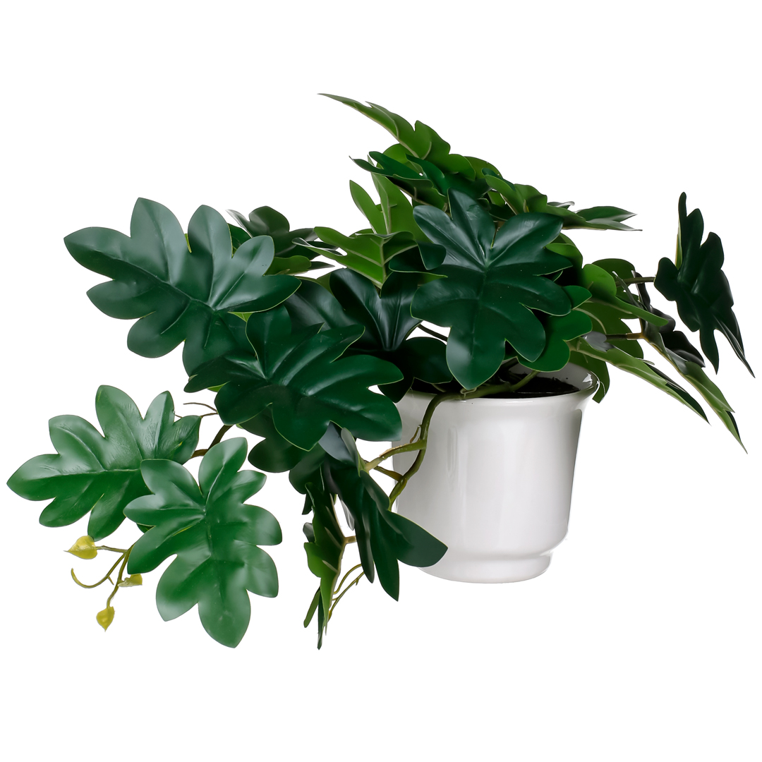 99111143-19.jpg PLANTA COLGANTE PHILO-TROPI (488740) *V.OSCURO