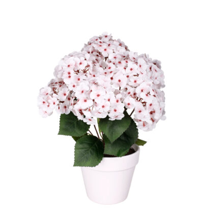 PLANTA HORTENSIA TACTO NAT.(03009) *BLANCO