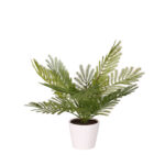 PLANTA ABETO PQ (480034) *V.OSCURO