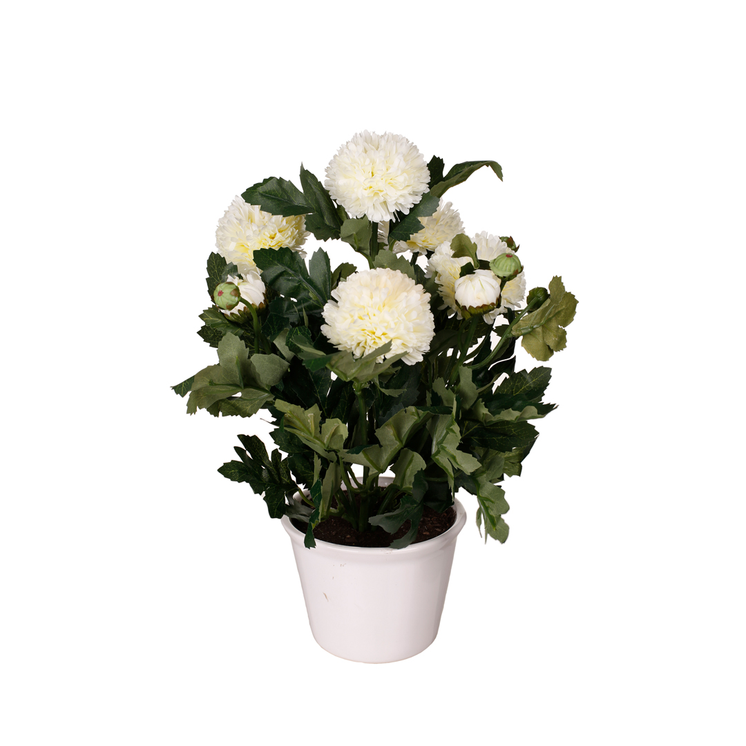 99111161-0.jpg PLANTA POM POM 34CM (69689) *BLANCO