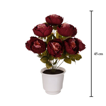 MACETA PEONIA