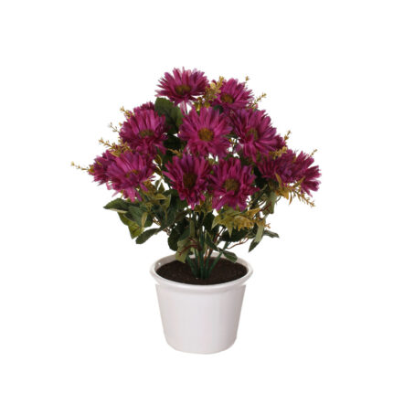 MACETA GERBERA MINI