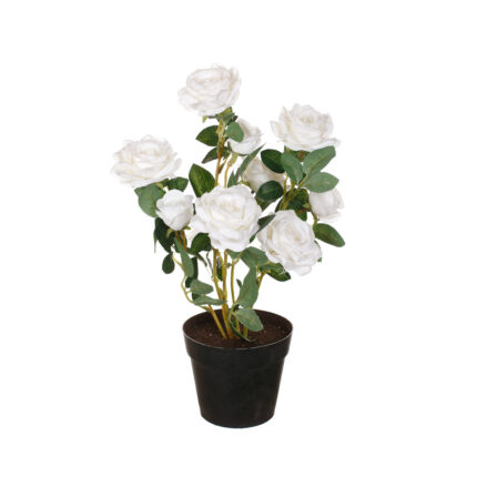 MACETITA ROSAL MINI