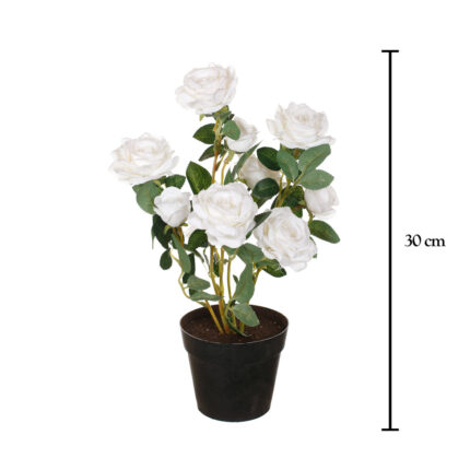 MACETITA ROSAL MINI