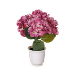 PLANTA HORTENSIA PRIMAVERAL MINI