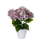 PLANTA HORTENSIA TACTO NATURAL