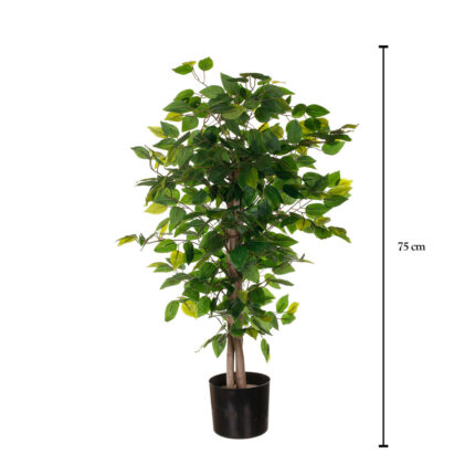 ARBOL FICUS 75CM