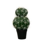 CACTUS ECHINOCACTUS GRUSONII 30CM *V.OSCURO