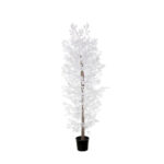 FICUS DE 1.80M
